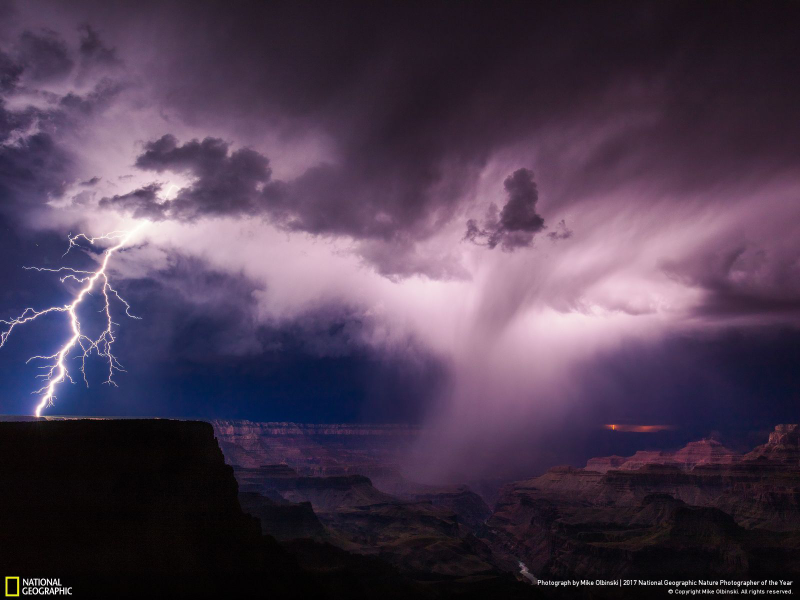 Illustration for article titled Las fotos ganadoras del concurso anual de National Geographic muestran un planeta tan hermoso que no lo merecemos